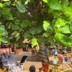 Strandlokal und Massage an unserem Lieblingsstrand