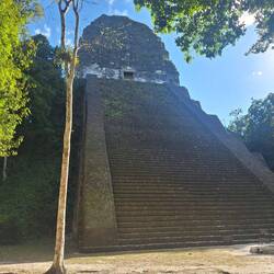 Temple 5