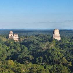 View from Temple 4 / Yavin 4