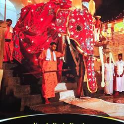 Einmal im Jahr wird er mit einer großen Prozession herumgetragen