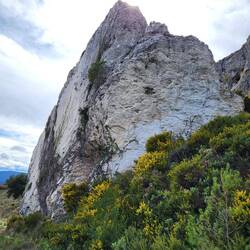 Im ersten Moment dachte ich: Wie die Kreidefelsen auf Rügen.