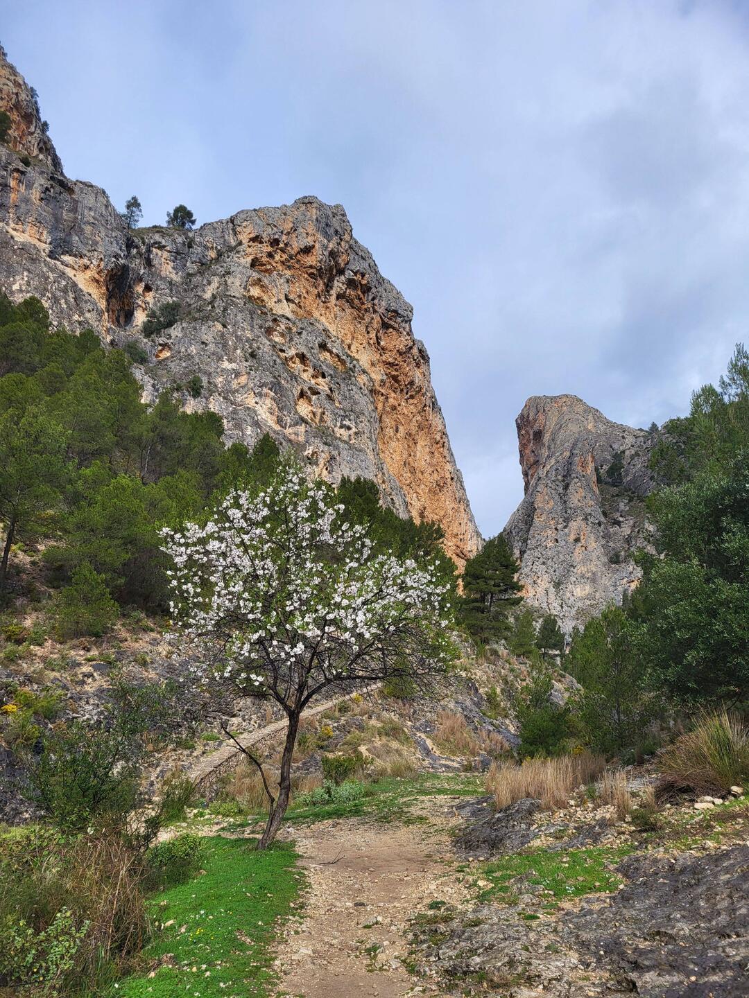 Der Schluchteingang liegt direkt vor uns.