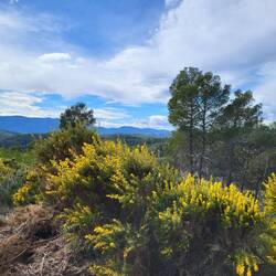 Auf fast 1100 Metern wird es recht ungemütlich.