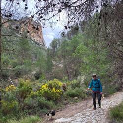 Die Schlucht weitet sich.