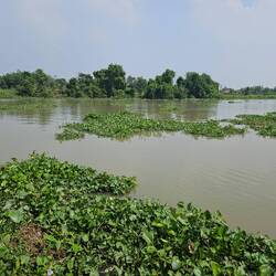 Saigon River bei den Tunnel