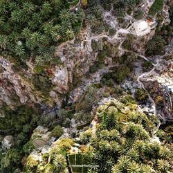 Blick in die Schlucht