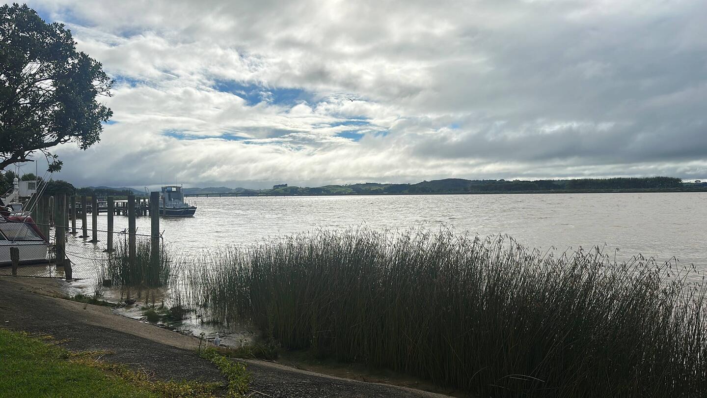 Ausblick auf den Wairoa River, welcher immer braun zu sein scheint