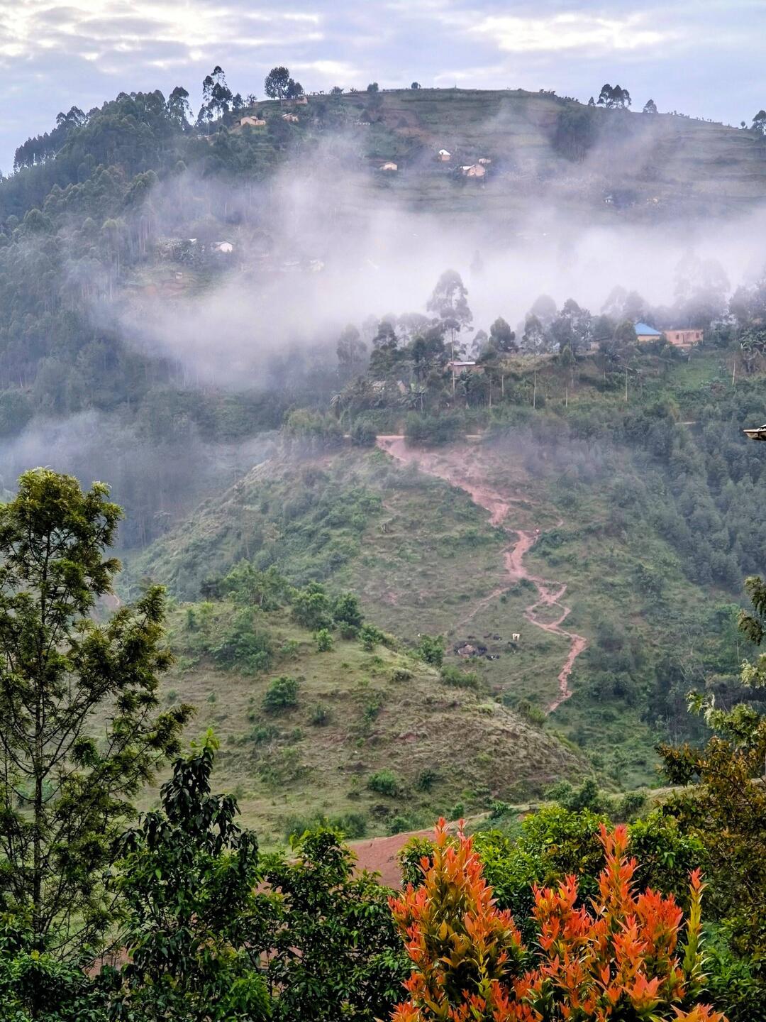 Scenery near Bwindi National Park.