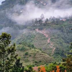 Scenery near Bwindi National Park.