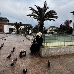 A woman selling bird feed