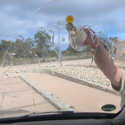 Aber die Scheibe muss geputzt werden wegen Durchblick