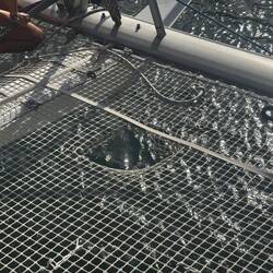 Da rutschte Mike durch. Er war nur noch 60 cm hoch