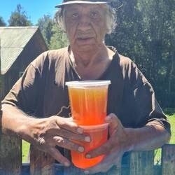 Wir erwerben 2 kg Ulmenhonig