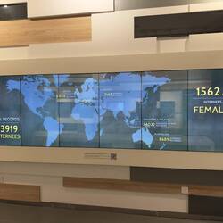 Statistics on the internees and selected personal biographies.