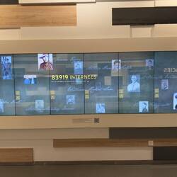 Statistics on the internees and selected personal biographies.