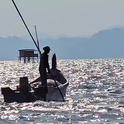 Er dreht seine Runden zum Muscheln fangen.
