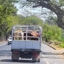 Wohin die wohl fahren ...?