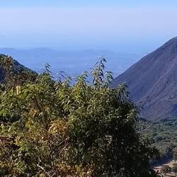 Ausblick bis zum Pazifik