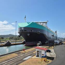 Der riesige (aber leere) Autotransporter auf dem Weg zurück nach Japan paßt so gerade rein