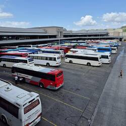 Der Albrook - Busbahnhof