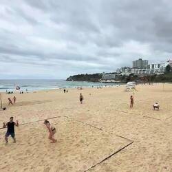 Several groups playing volleyball