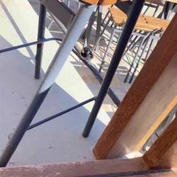 ..er hat eh so an dicken Bauch der schimpfende Rohrspatz