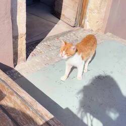 ..kurz danach hat unser Hund geschlafen 🐾😴👍🏻😅