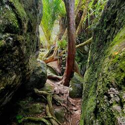 Wairere Boulders Nature Reserve