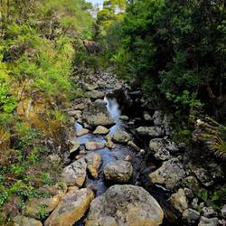 Wairere Boulders Nature Reserve