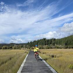 Boardwalk through marshland