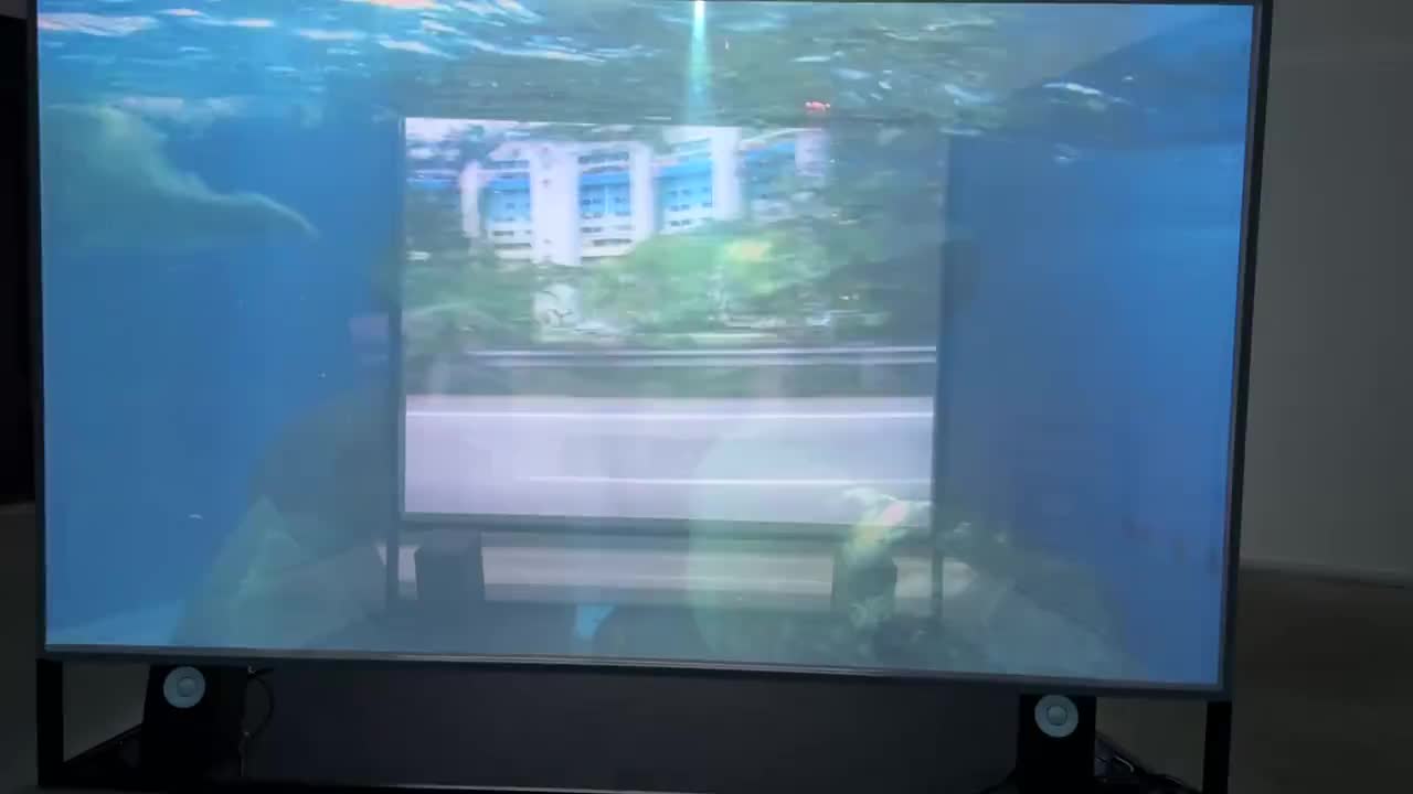 On a Clear Day You Can See Forever by Tan Pin Pin.