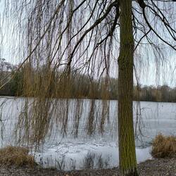 Hinterer Gotthardsteich