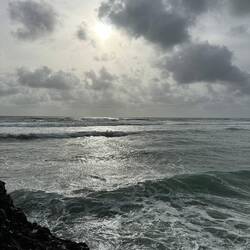 Die rauhe Schönheit der Tasmanischen See