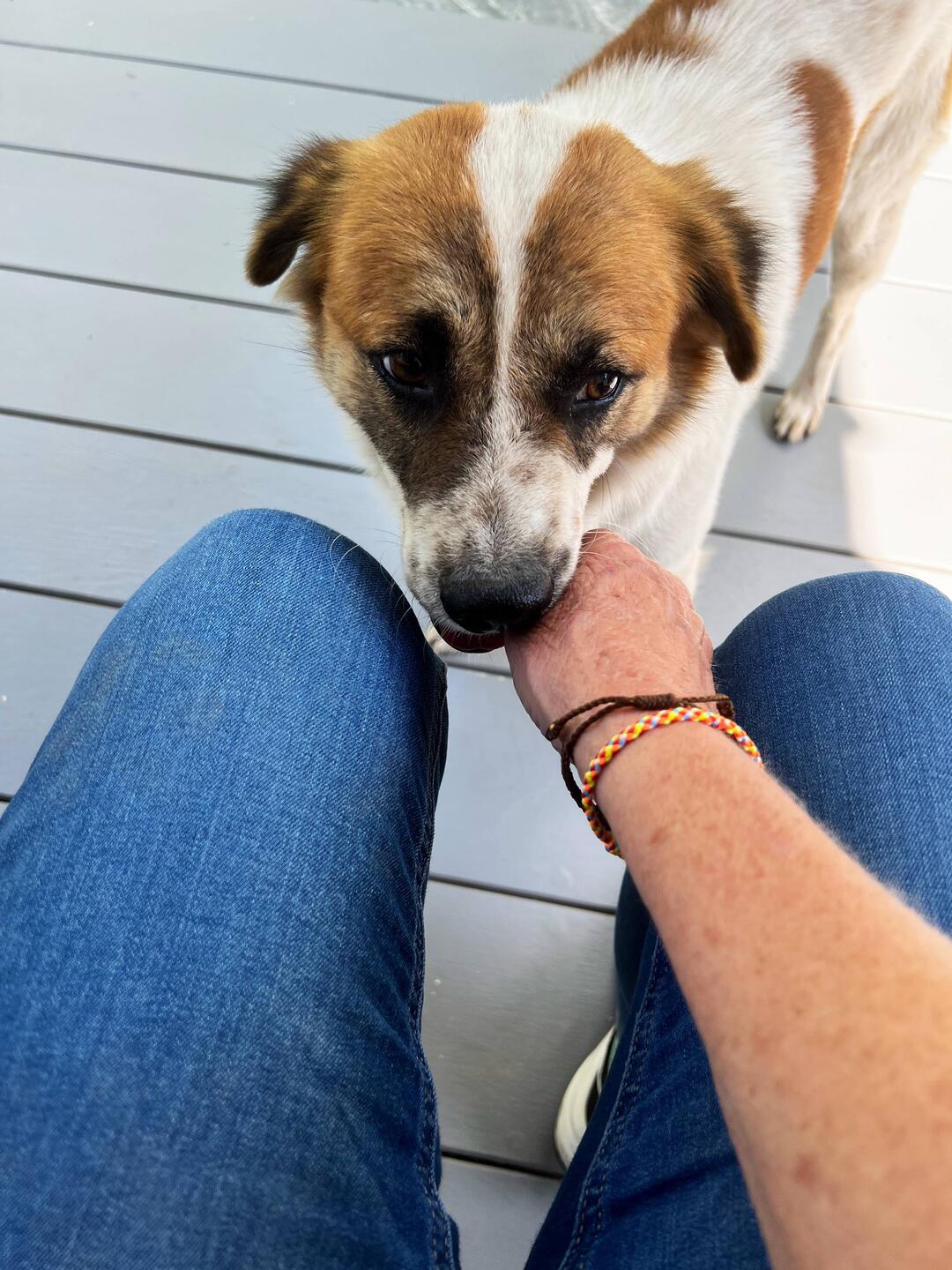 Herzlicher Empfang 🥰