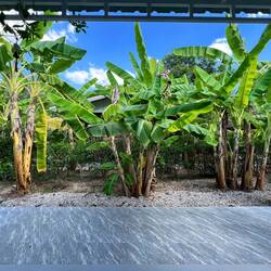 Blick von der Terrasse