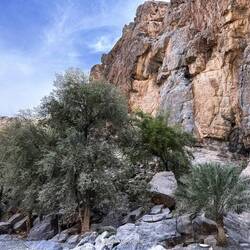 Fahrt in das Wadi Nahkr