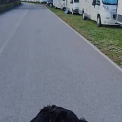 Tako zgleda postajališče za AD... že sedaj je polno zasedeno, kako bo šele poleti...