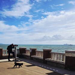 Toni išče Elbo... al pa Napoleona...