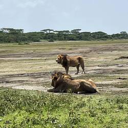 Hier haben die 2 ausgeschlafen und fertig verdaut
