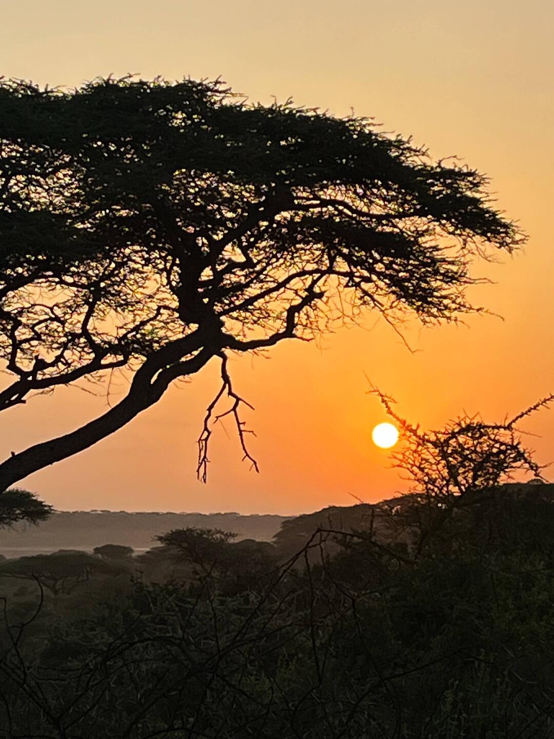 Sonnen Aufgang von unserem Balkon aus