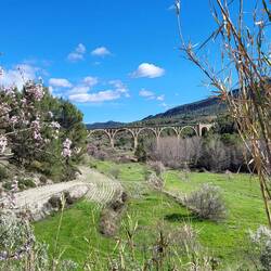 Der Weg über die Forststraße.