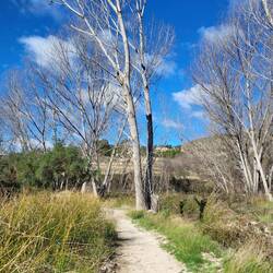 Im Tal des Riu Polop.