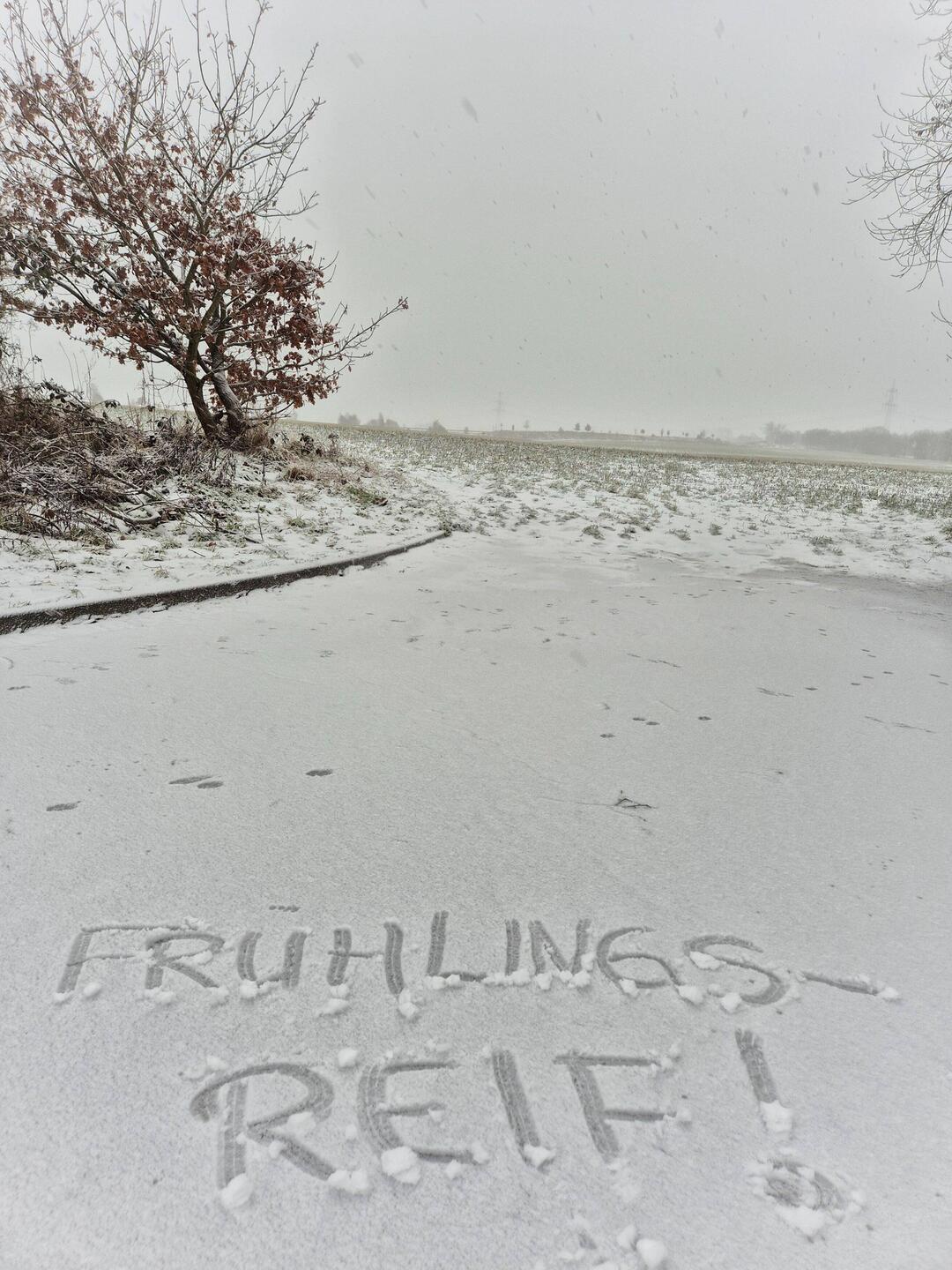 morgens bei meiner Crivitz-Kontrollrunde...