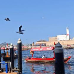 Flieger, grüß mir die Sonne...