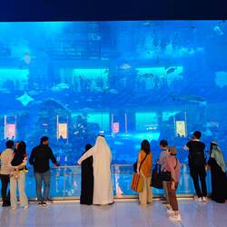 Der Scheich und das Aquarium