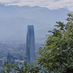 Tallest tower in the city