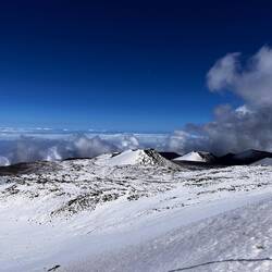 Ganz viele Lava Cakes mit Schokofüllung und Puderzucker 🤤