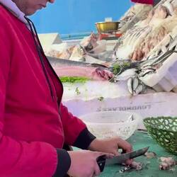 Cleaning our squid we'll have for lunch