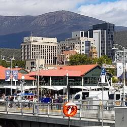 Looking up to Mt Wellington