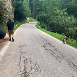 Irgendwann kommt man nicht drum herum